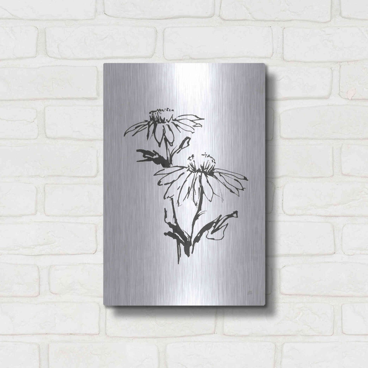 Luxe Metal Art 'Line Echinacea II' by Chris Paschke, Metal Wall Art,12x16