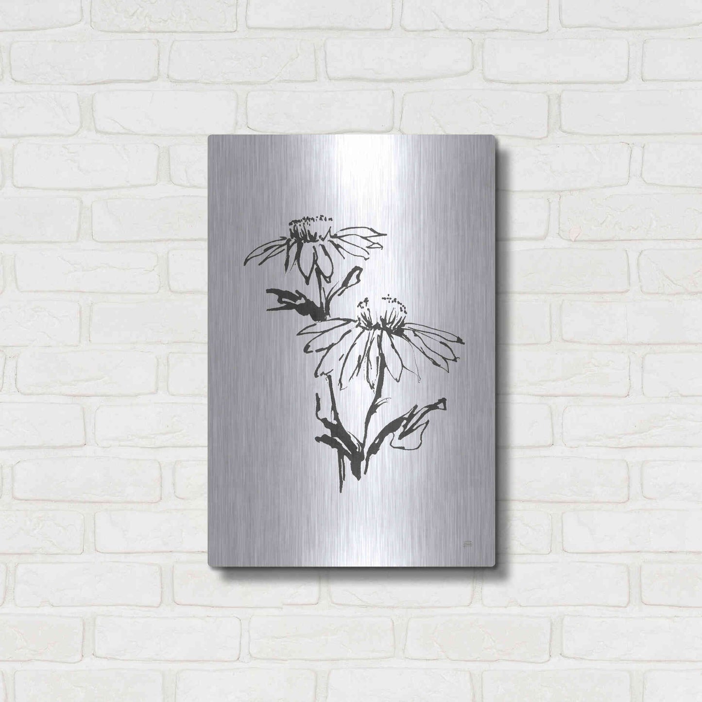 Luxe Metal Art 'Line Echinacea II' by Chris Paschke, Metal Wall Art,16x24