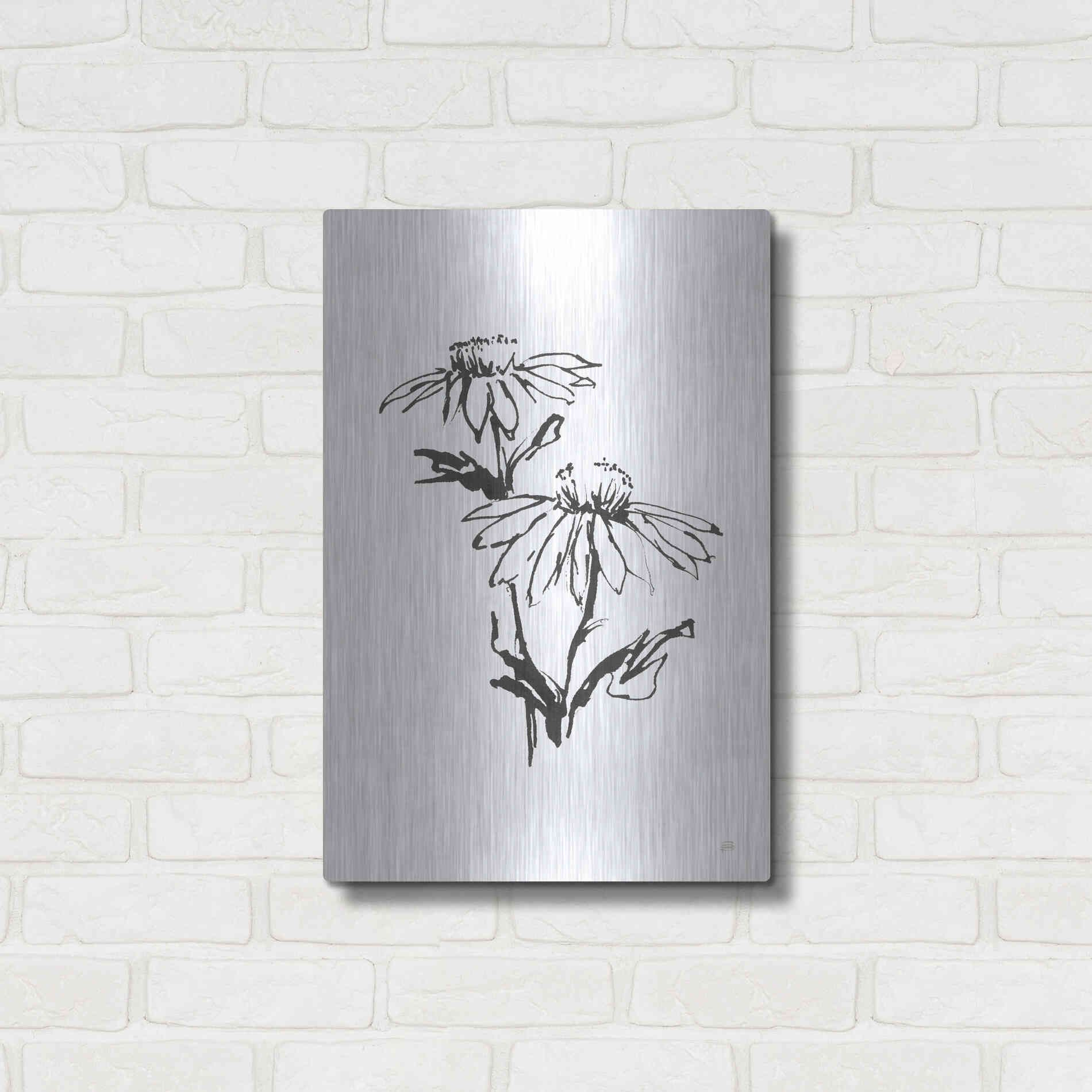 Luxe Metal Art 'Line Echinacea II' by Chris Paschke, Metal Wall Art,16x24