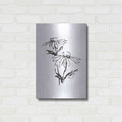 Luxe Metal Art 'Line Echinacea II' by Chris Paschke, Metal Wall Art,16x24
