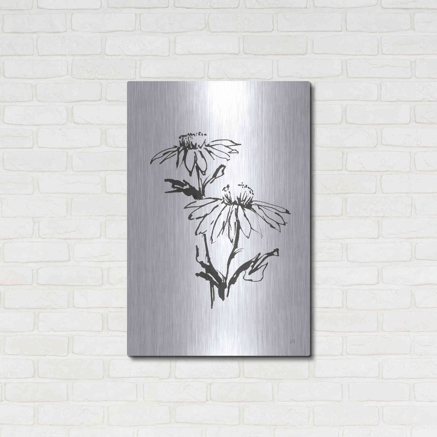 Luxe Metal Art 'Line Echinacea II' by Chris Paschke, Metal Wall Art,24x36