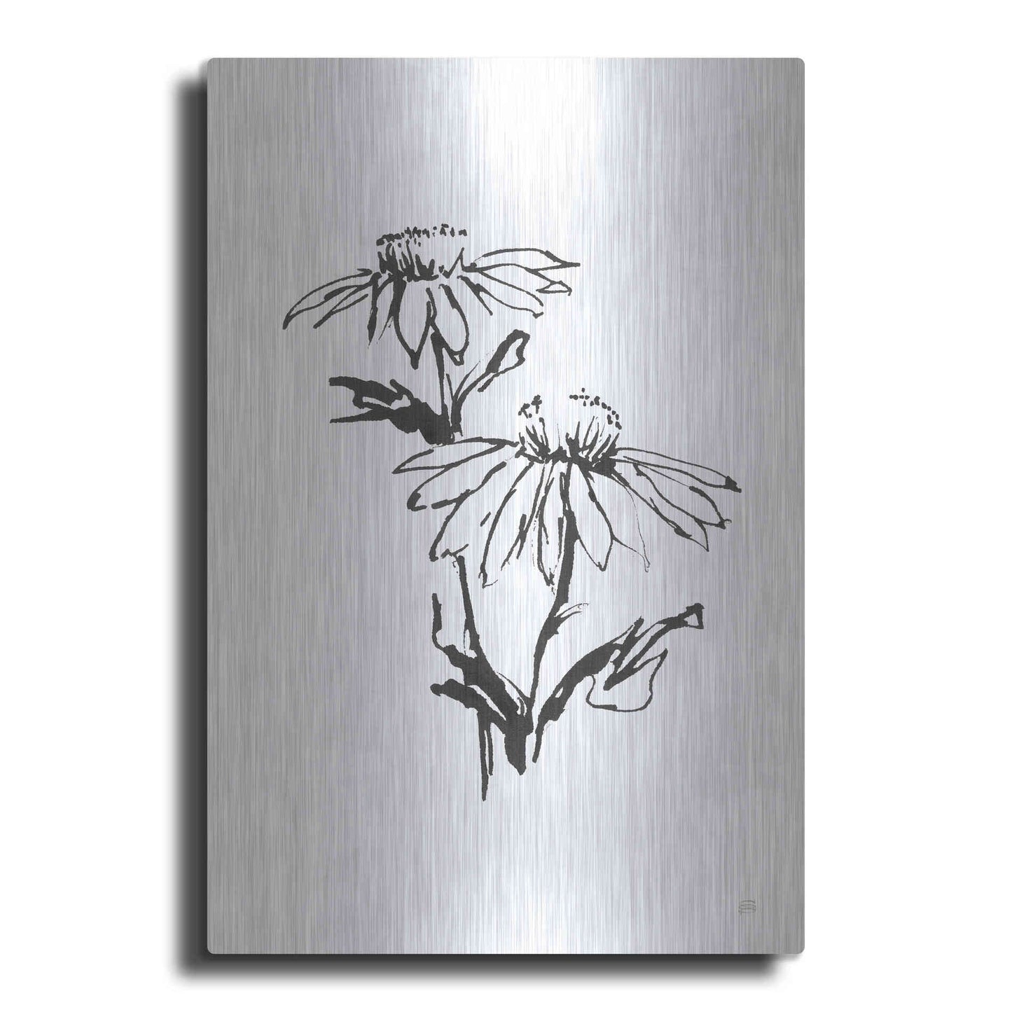 Luxe Metal Art 'Line Echinacea II' by Chris Paschke, Metal Wall Art