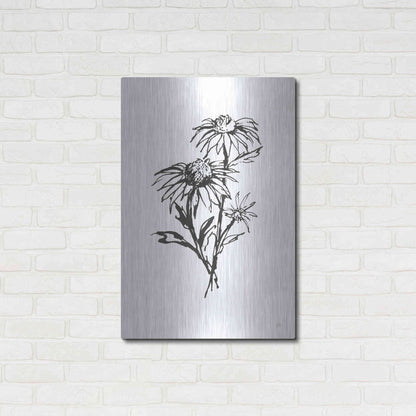 Luxe Metal Art 'Line Echinacea III' by Chris Paschke, Metal Wall Art,24x36