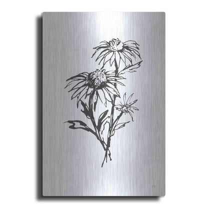 Luxe Metal Art 'Line Echinacea III' by Chris Paschke, Metal Wall Art