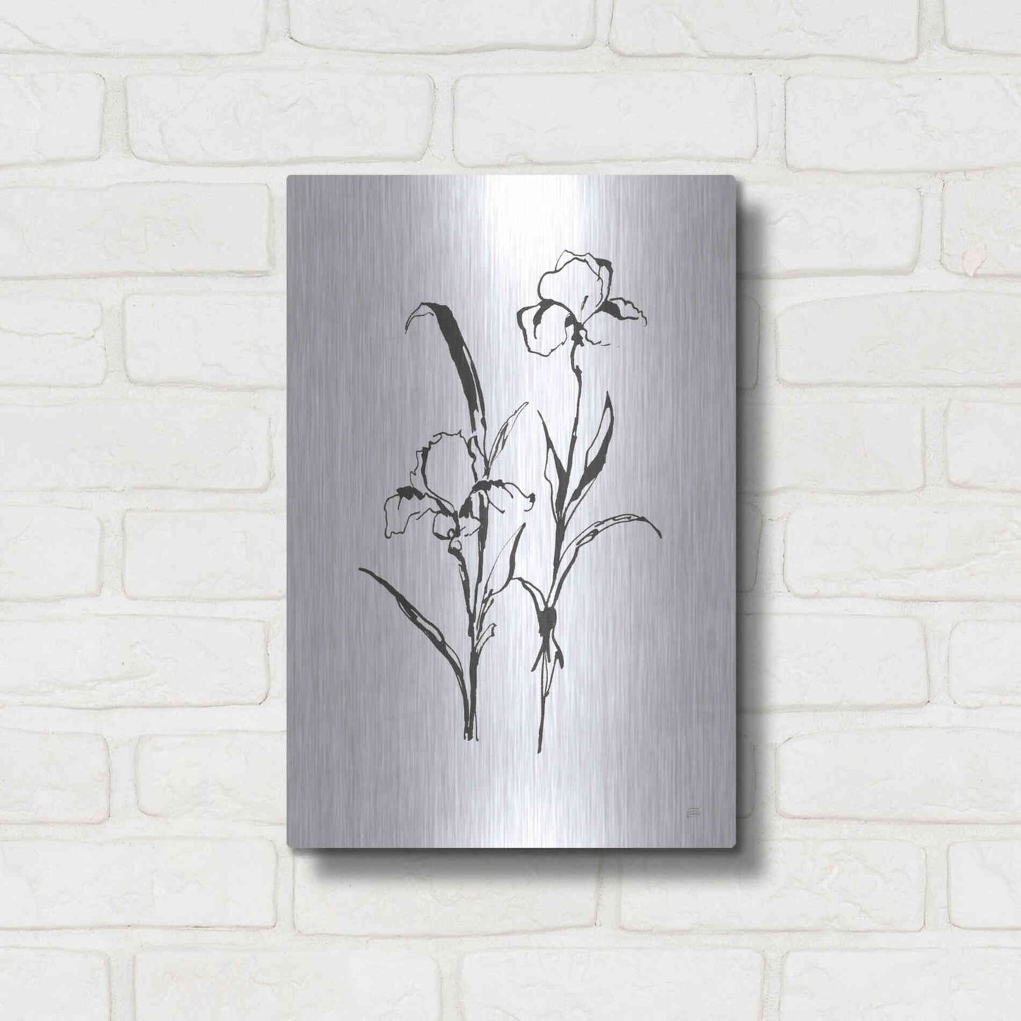 Luxe Metal Art 'Line Iris I' by Chris Paschke, Metal Wall Art,12x16