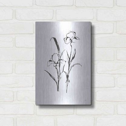 Luxe Metal Art 'Line Iris I' by Chris Paschke, Metal Wall Art,12x16