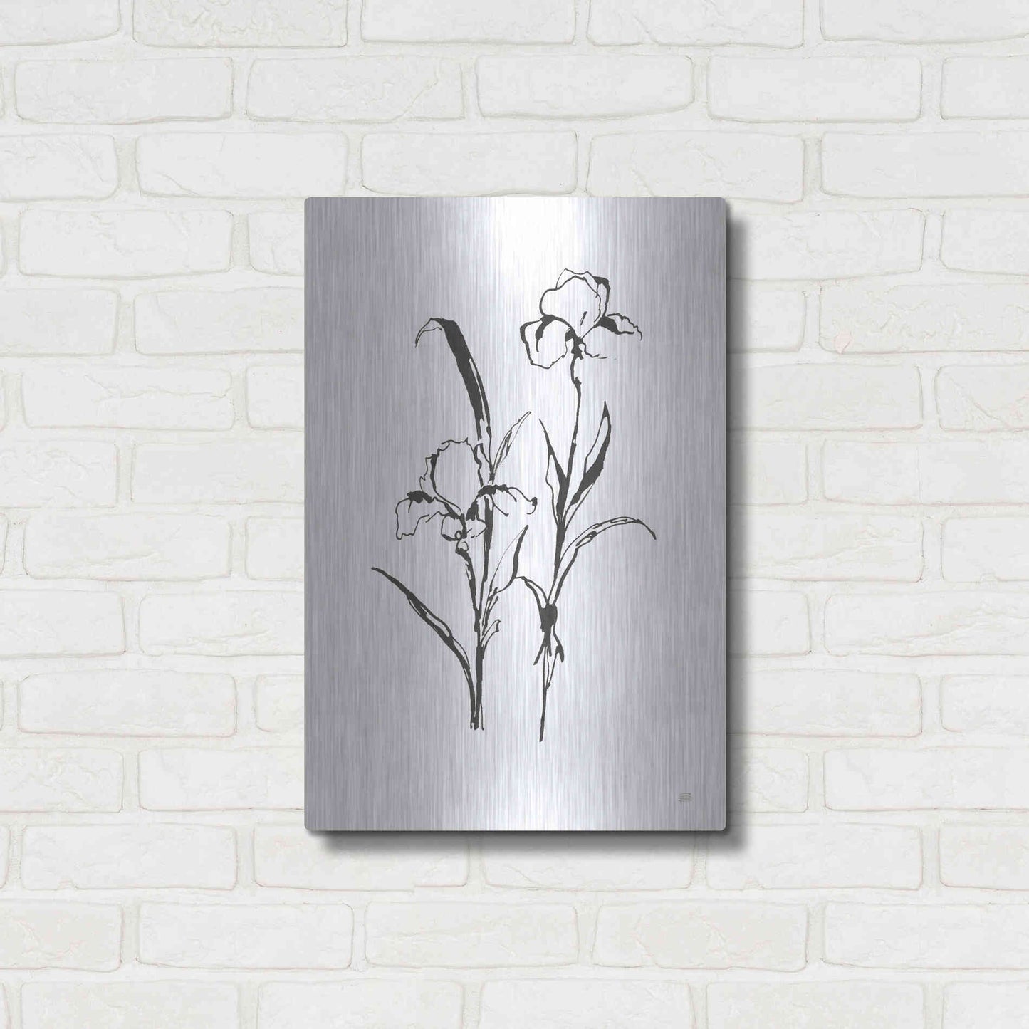 Luxe Metal Art 'Line Iris I' by Chris Paschke, Metal Wall Art,16x24