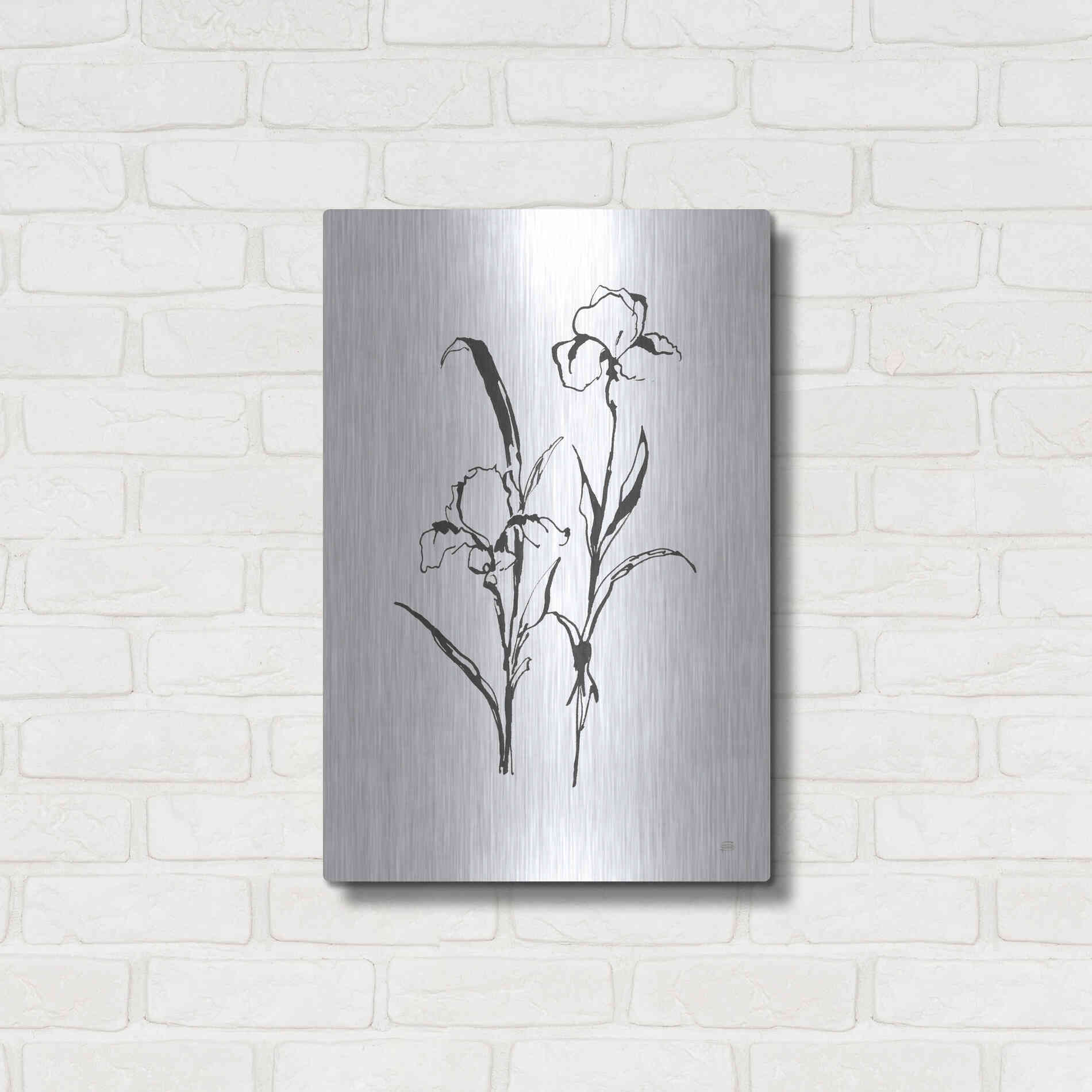 Luxe Metal Art 'Line Iris I' by Chris Paschke, Metal Wall Art,16x24
