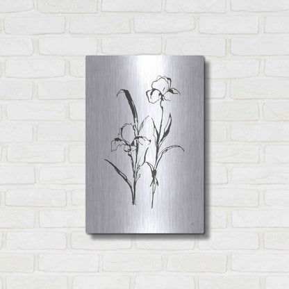 Luxe Metal Art 'Line Iris I' by Chris Paschke, Metal Wall Art,16x24
