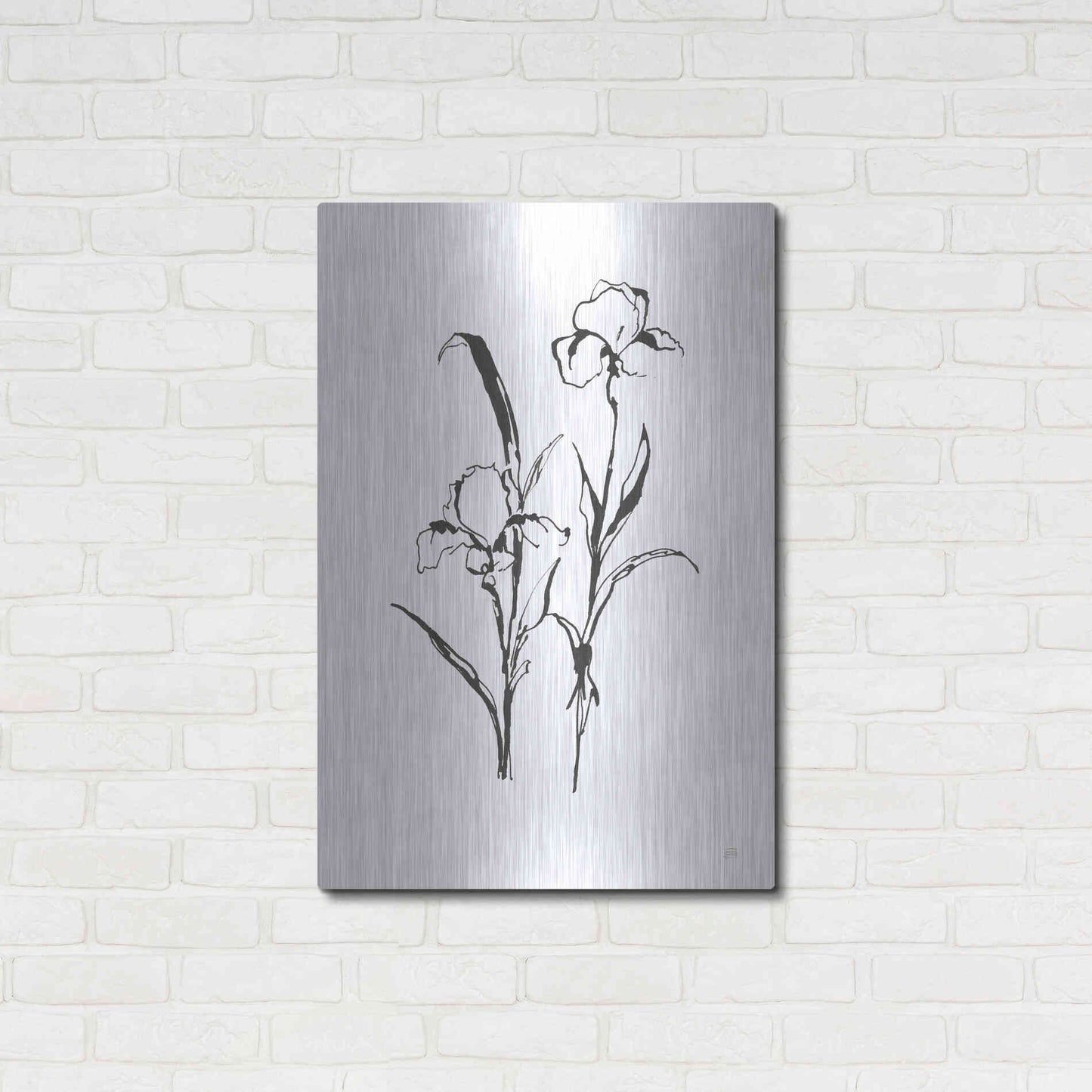 Luxe Metal Art 'Line Iris I' by Chris Paschke, Metal Wall Art,24x36