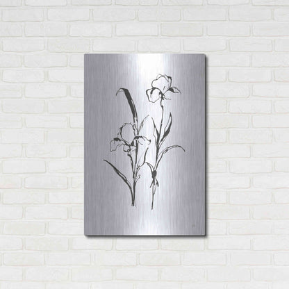 Luxe Metal Art 'Line Iris I' by Chris Paschke, Metal Wall Art,24x36