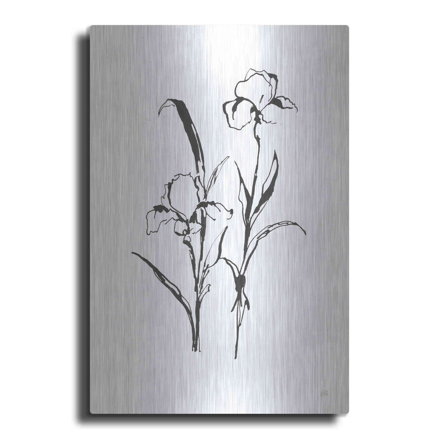 Luxe Metal Art 'Line Iris I' by Chris Paschke, Metal Wall Art