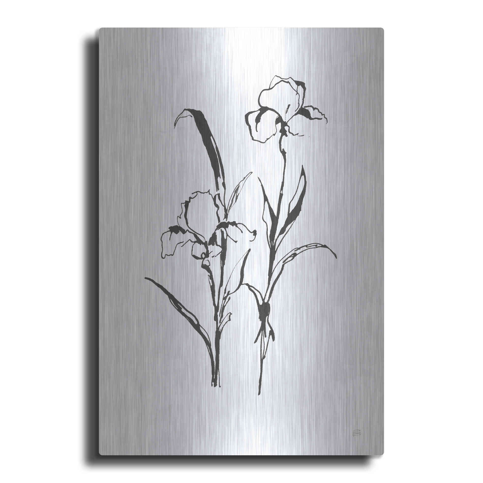 Luxe Metal Art 'Line Iris I' by Chris Paschke, Metal Wall Art