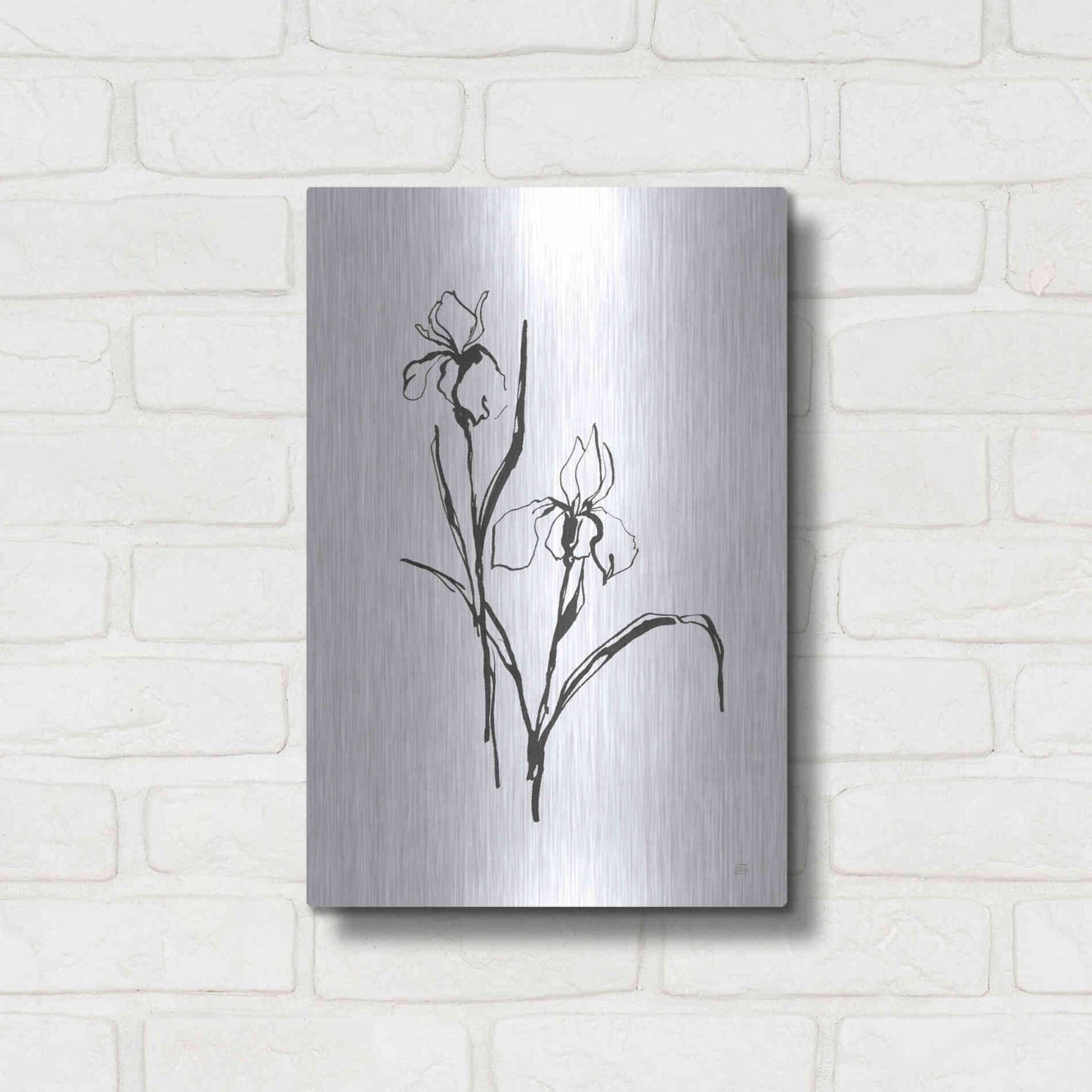 Luxe Metal Art 'Line Iris III' by Chris Paschke, Metal Wall Art,12x16