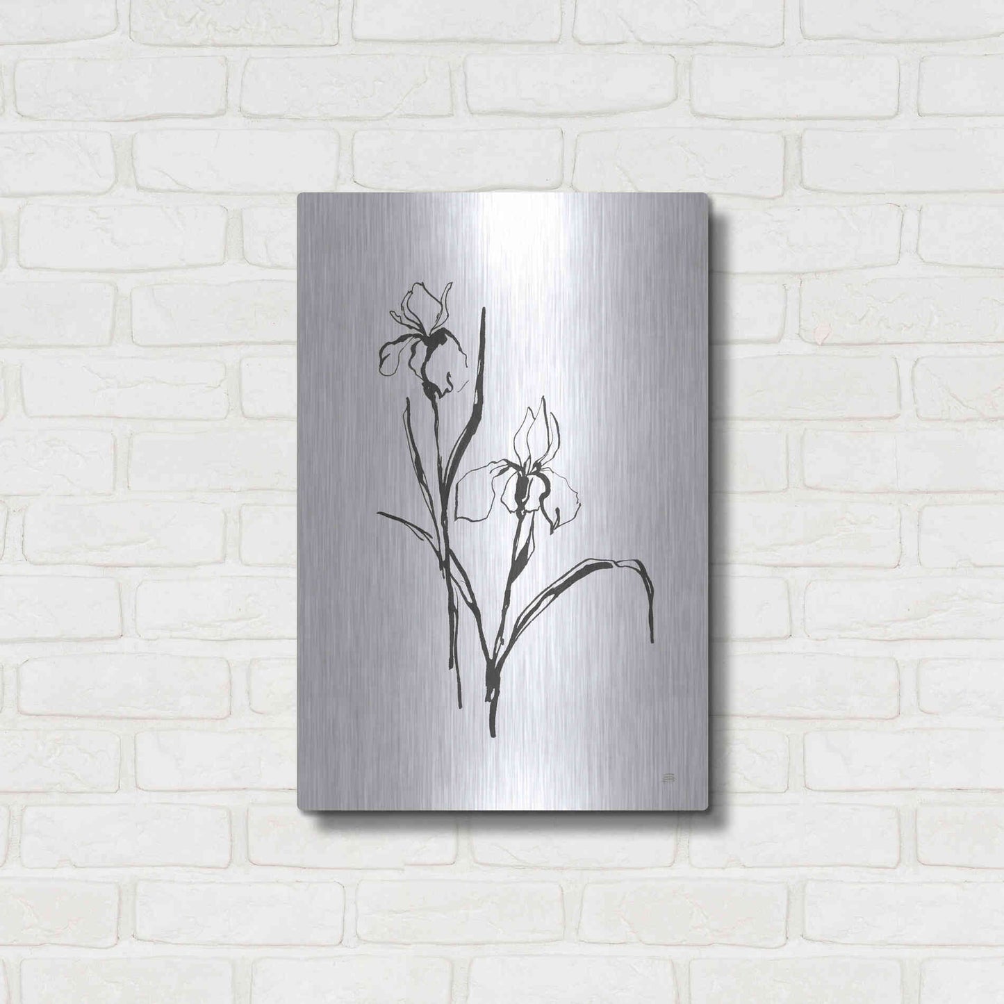 Luxe Metal Art 'Line Iris III' by Chris Paschke, Metal Wall Art,16x24
