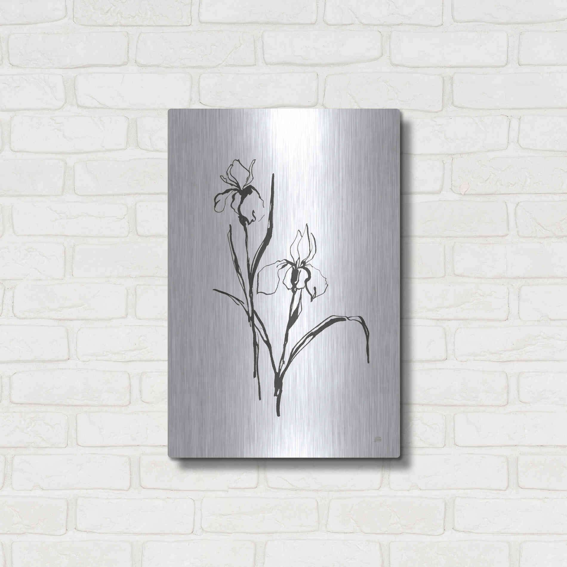 Luxe Metal Art 'Line Iris III' by Chris Paschke, Metal Wall Art,16x24