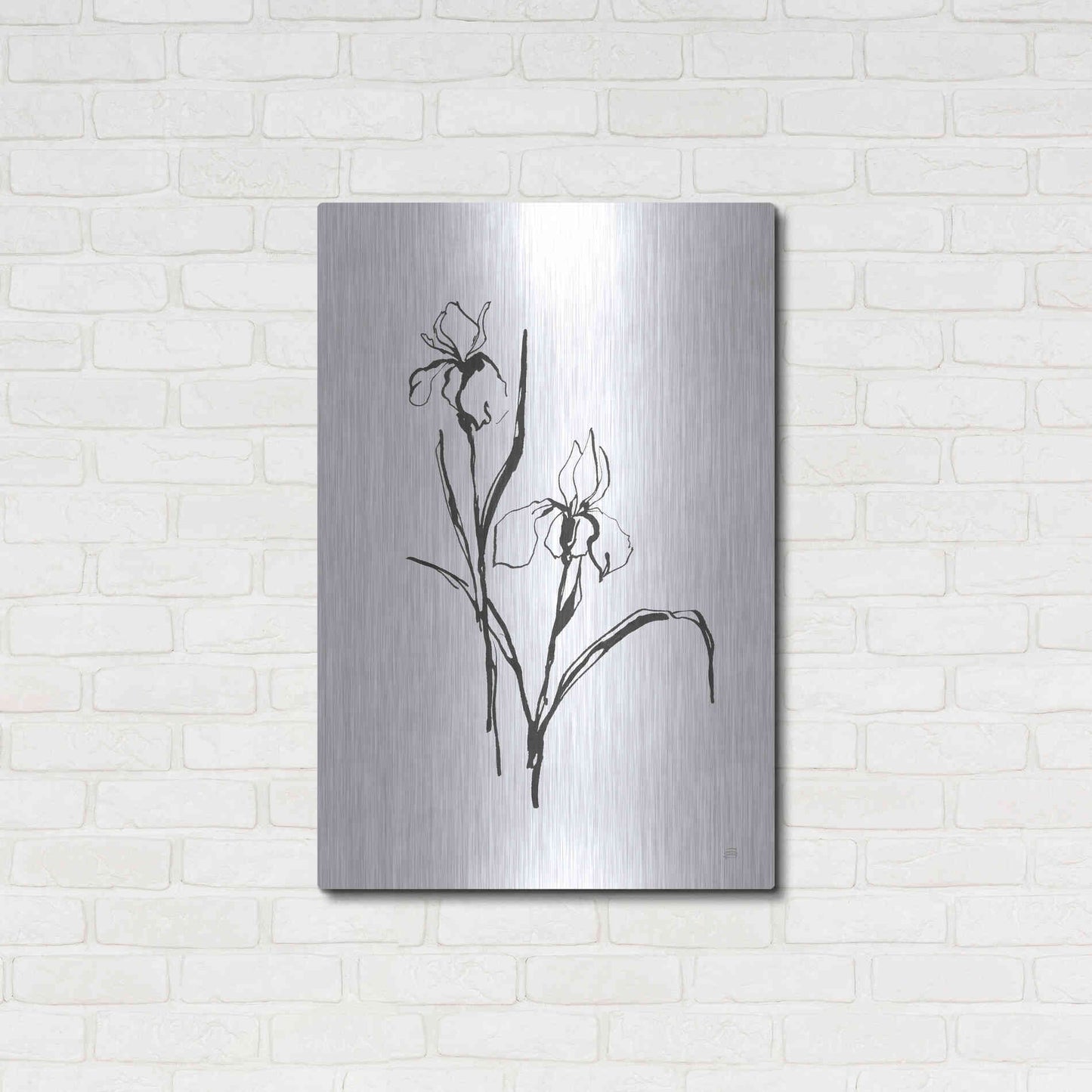Luxe Metal Art 'Line Iris III' by Chris Paschke, Metal Wall Art,24x36