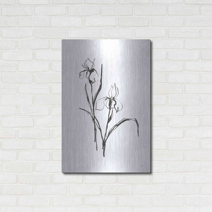 Luxe Metal Art 'Line Iris III' by Chris Paschke, Metal Wall Art,24x36