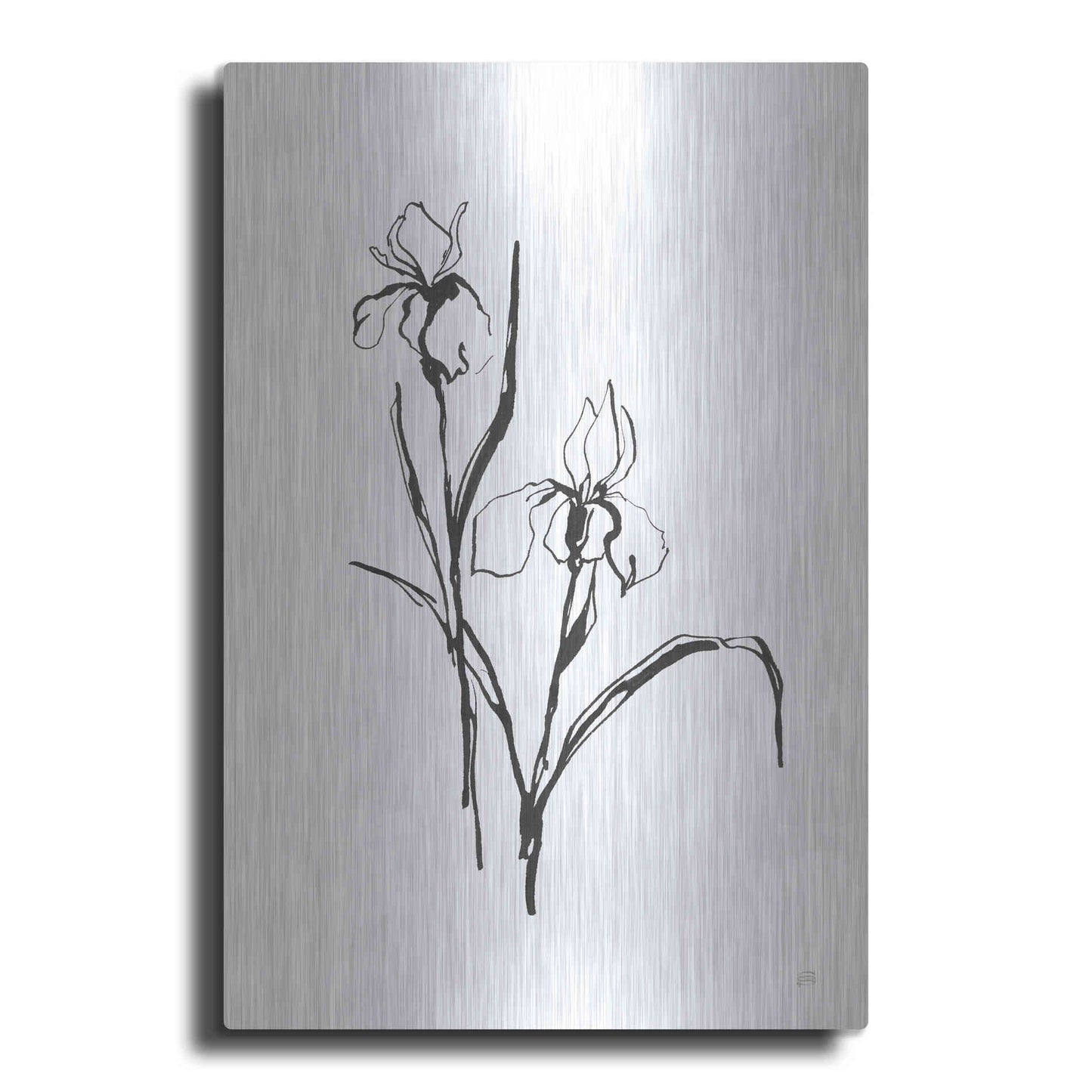 Luxe Metal Art 'Line Iris III' by Chris Paschke, Metal Wall Art