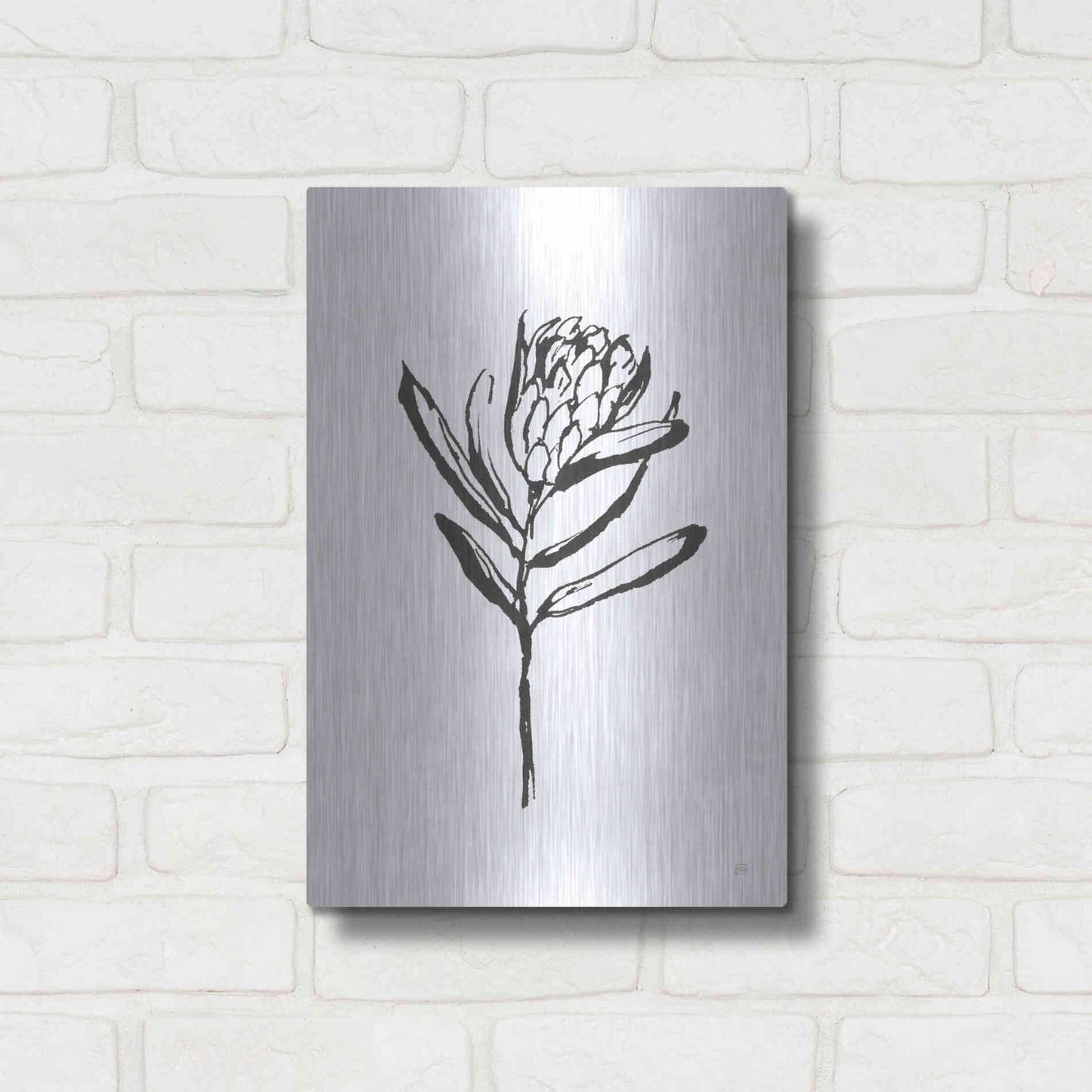 Luxe Metal Art 'Line Protea I' by Chris Paschke, Metal Wall Art,12x16