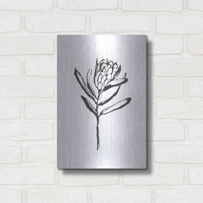 Luxe Metal Art 'Line Protea I' by Chris Paschke, Metal Wall Art,12x16