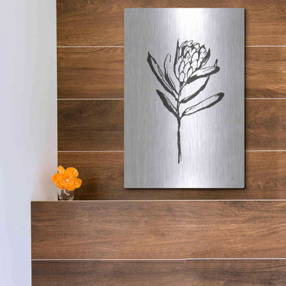 Luxe Metal Art 'Line Protea I' by Chris Paschke, Metal Wall Art,12x16