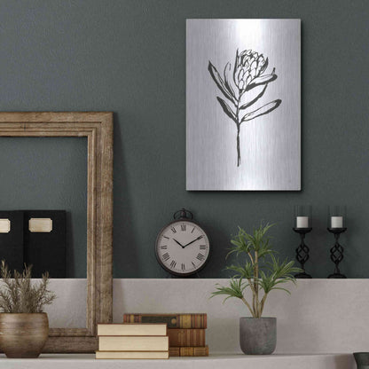Luxe Metal Art 'Line Protea I' by Chris Paschke, Metal Wall Art,12x16