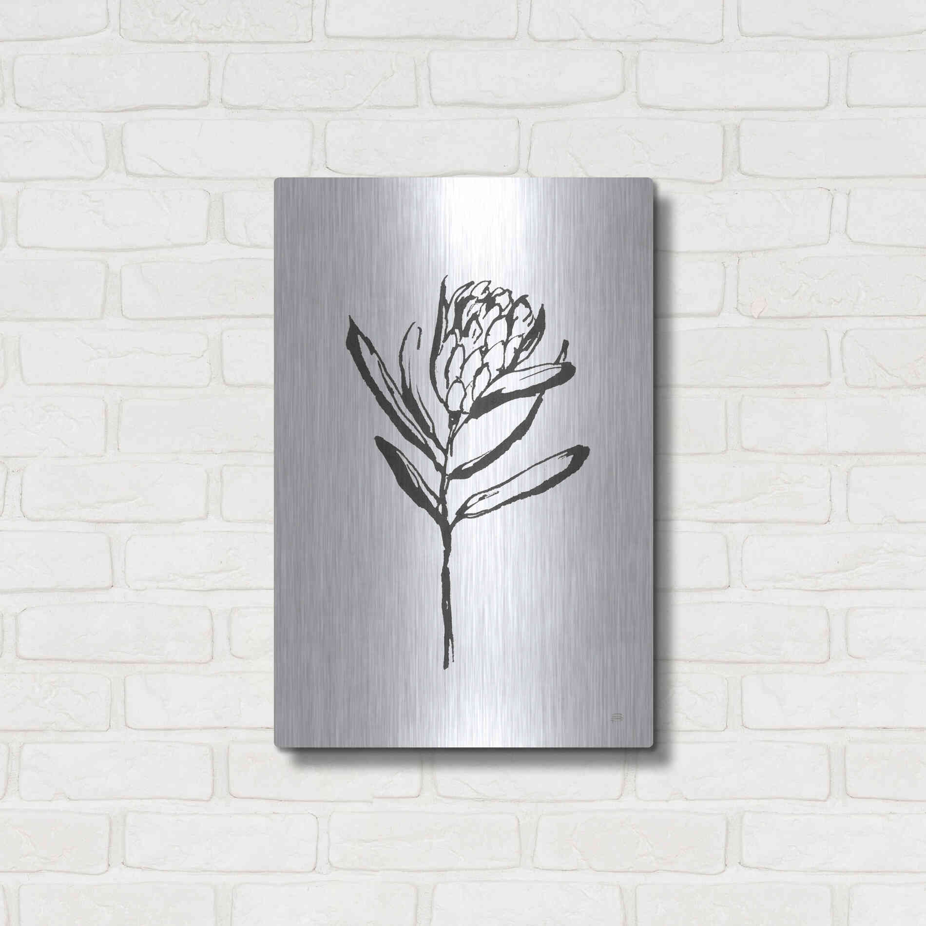 Luxe Metal Art 'Line Protea I' by Chris Paschke, Metal Wall Art,16x24