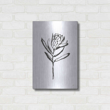 Luxe Metal Art 'Line Protea I' by Chris Paschke, Metal Wall Art,16x24