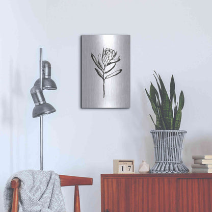 Luxe Metal Art 'Line Protea I' by Chris Paschke, Metal Wall Art,16x24