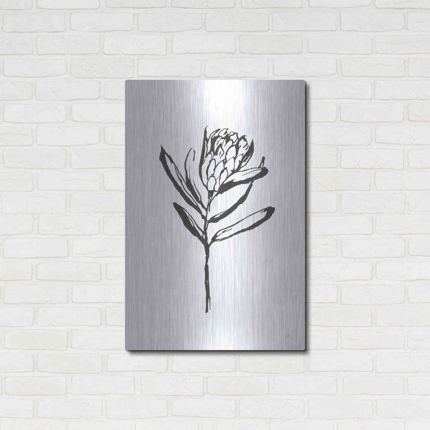 Luxe Metal Art 'Line Protea I' by Chris Paschke, Metal Wall Art,24x36