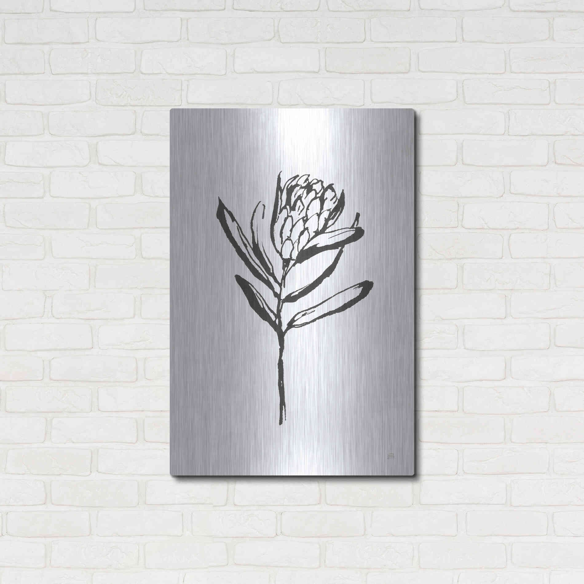 Luxe Metal Art 'Line Protea I' by Chris Paschke, Metal Wall Art,24x36