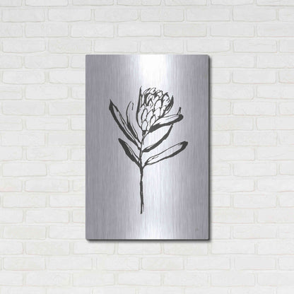 Luxe Metal Art 'Line Protea I' by Chris Paschke, Metal Wall Art,24x36