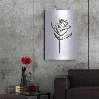 Luxe Metal Art 'Line Protea I' by Chris Paschke, Metal Wall Art,24x36