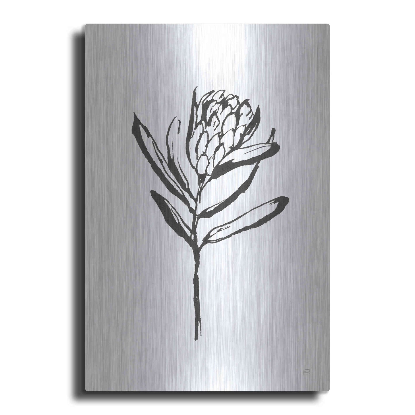 Luxe Metal Art 'Line Protea I' by Chris Paschke, Metal Wall Art
