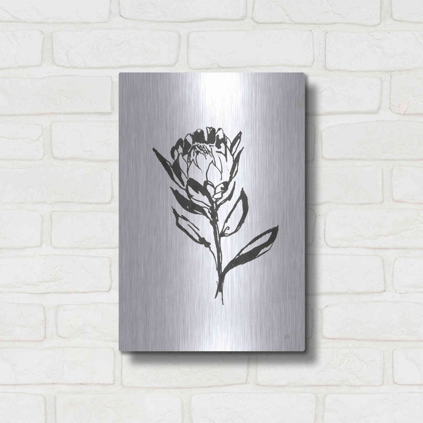 Luxe Metal Art 'Line Protea II' by Chris Paschke, Metal Wall Art,12x16