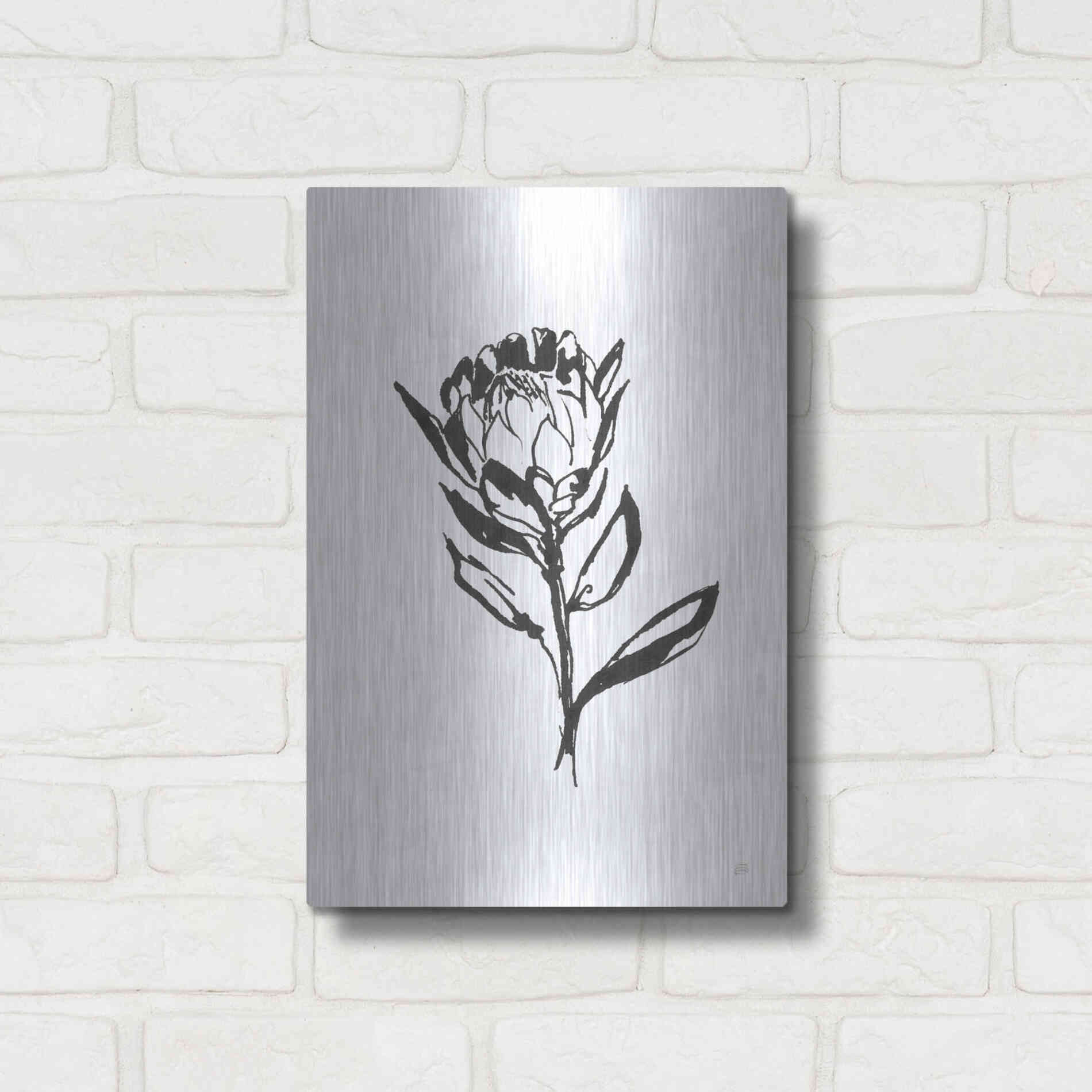 Luxe Metal Art 'Line Protea II' by Chris Paschke, Metal Wall Art,12x16