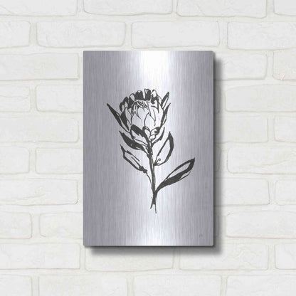 Luxe Metal Art 'Line Protea II' by Chris Paschke, Metal Wall Art,12x16