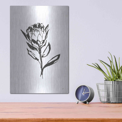 Luxe Metal Art 'Line Protea II' by Chris Paschke, Metal Wall Art,12x16