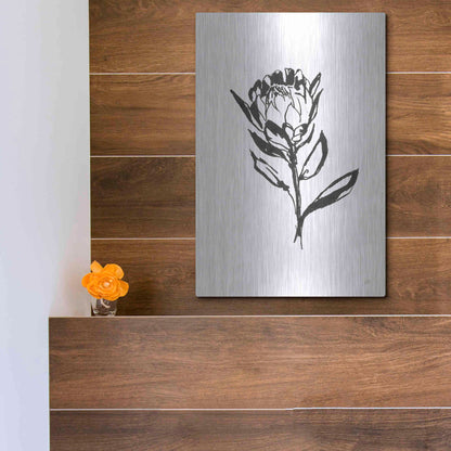 Luxe Metal Art 'Line Protea II' by Chris Paschke, Metal Wall Art,12x16