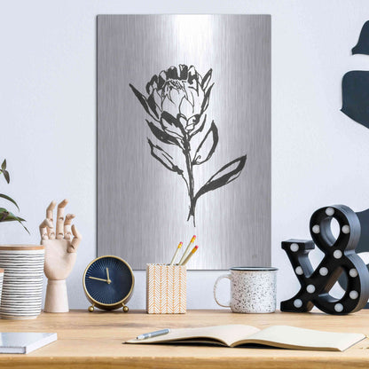 Luxe Metal Art 'Line Protea II' by Chris Paschke, Metal Wall Art,12x16