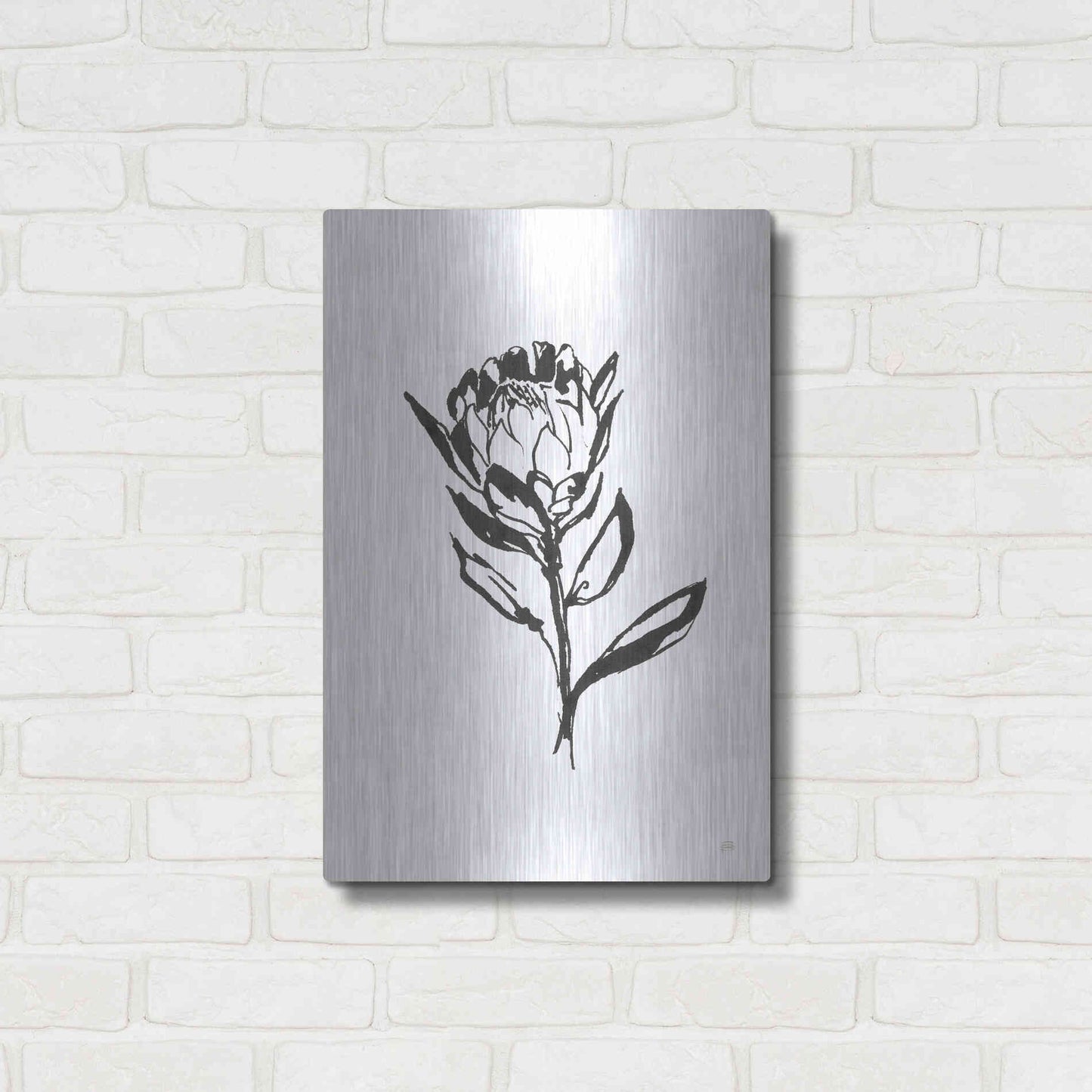 Luxe Metal Art 'Line Protea II' by Chris Paschke, Metal Wall Art,16x24