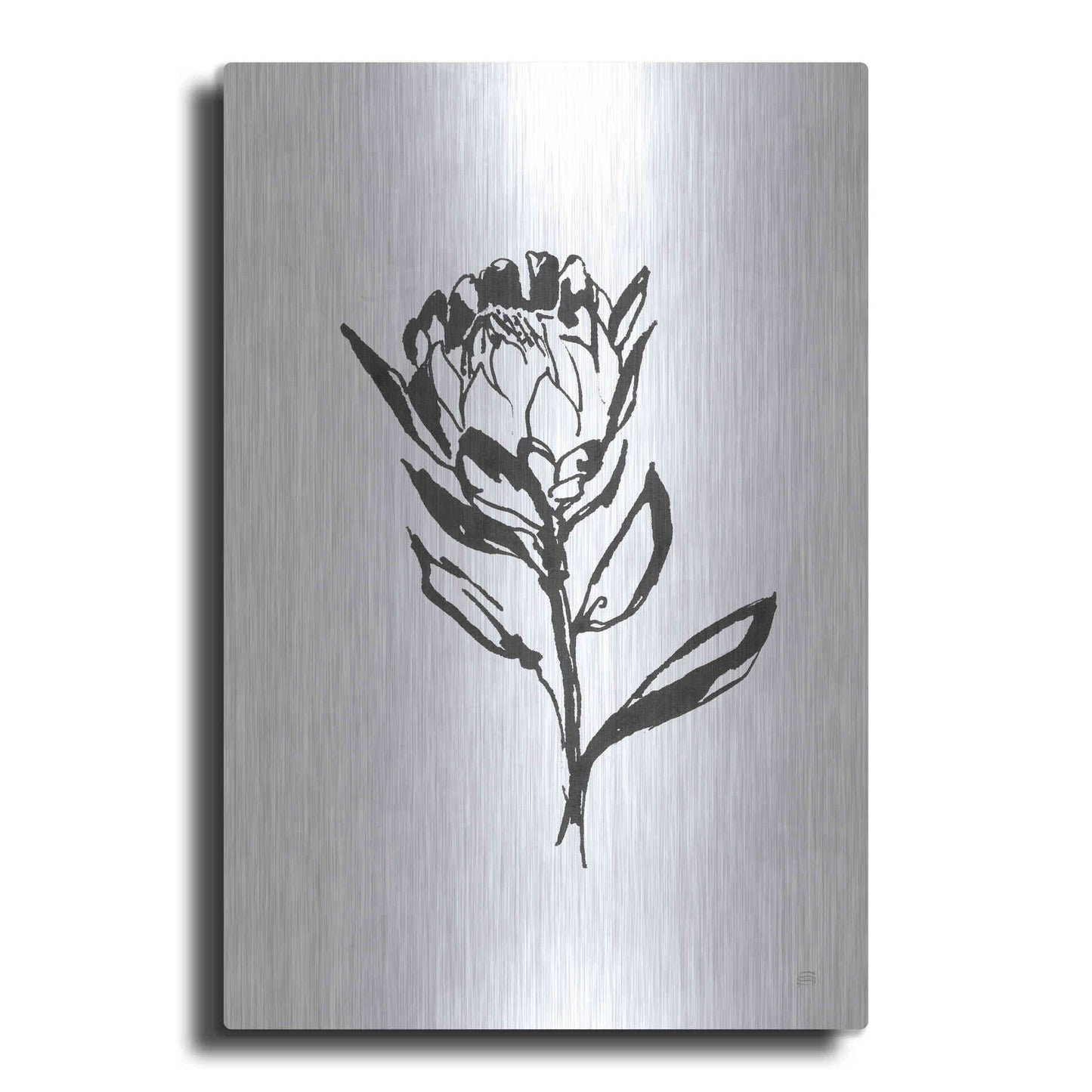 Luxe Metal Art 'Line Protea II' by Chris Paschke, Metal Wall Art