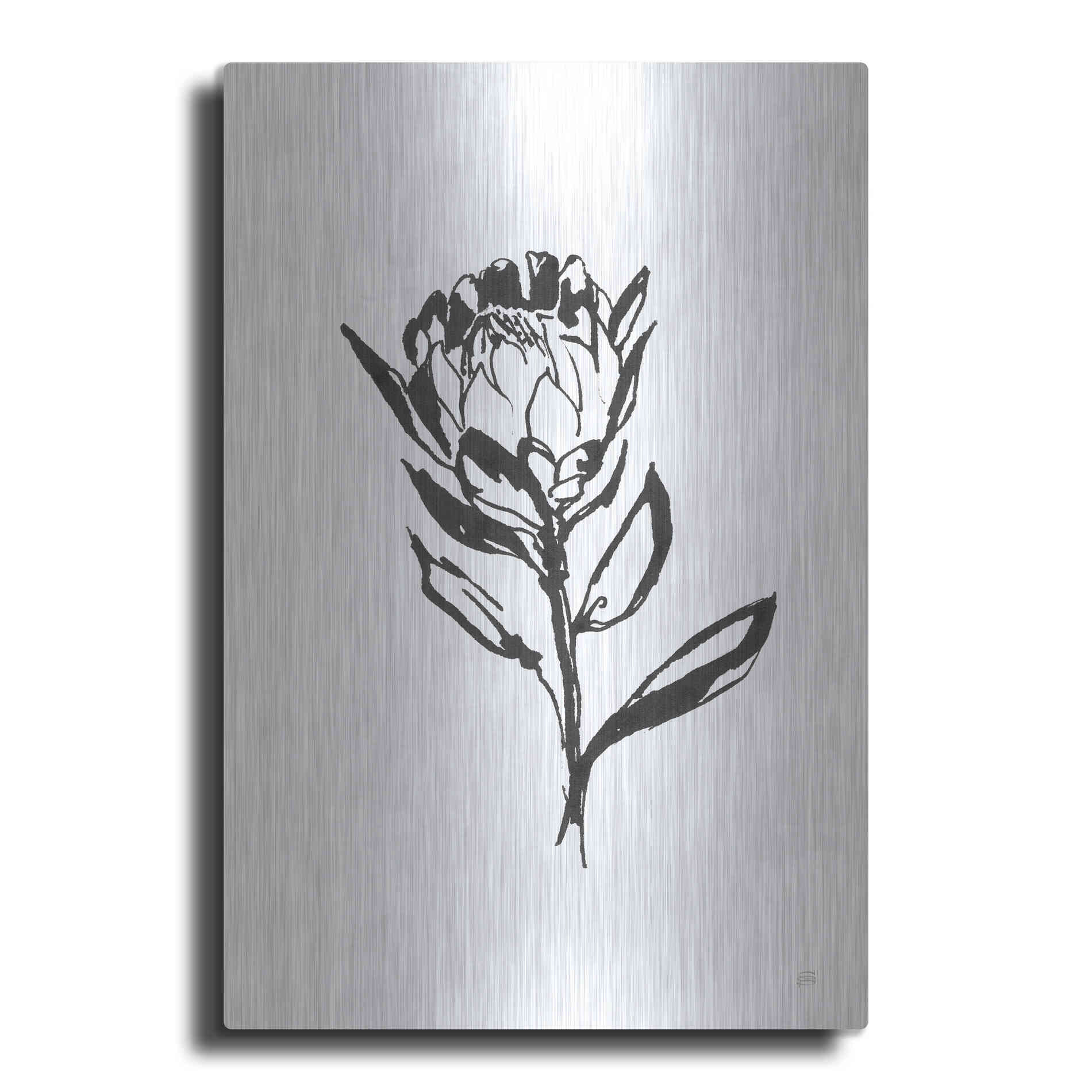 Luxe Metal Art 'Line Protea II' by Chris Paschke, Metal Wall Art