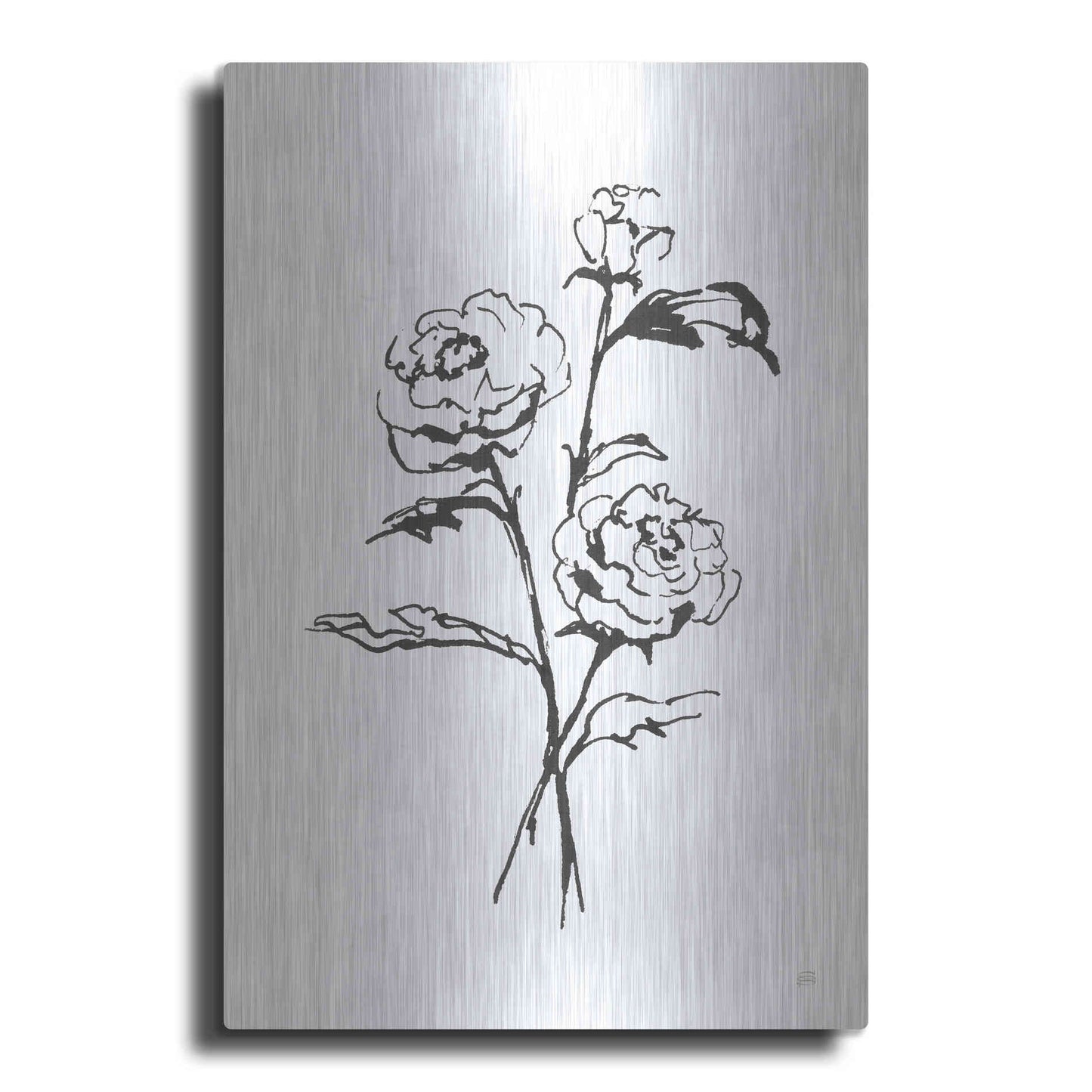 Luxe Metal Art 'Line Ranunculus I' by Chris Paschke, Metal Wall Art