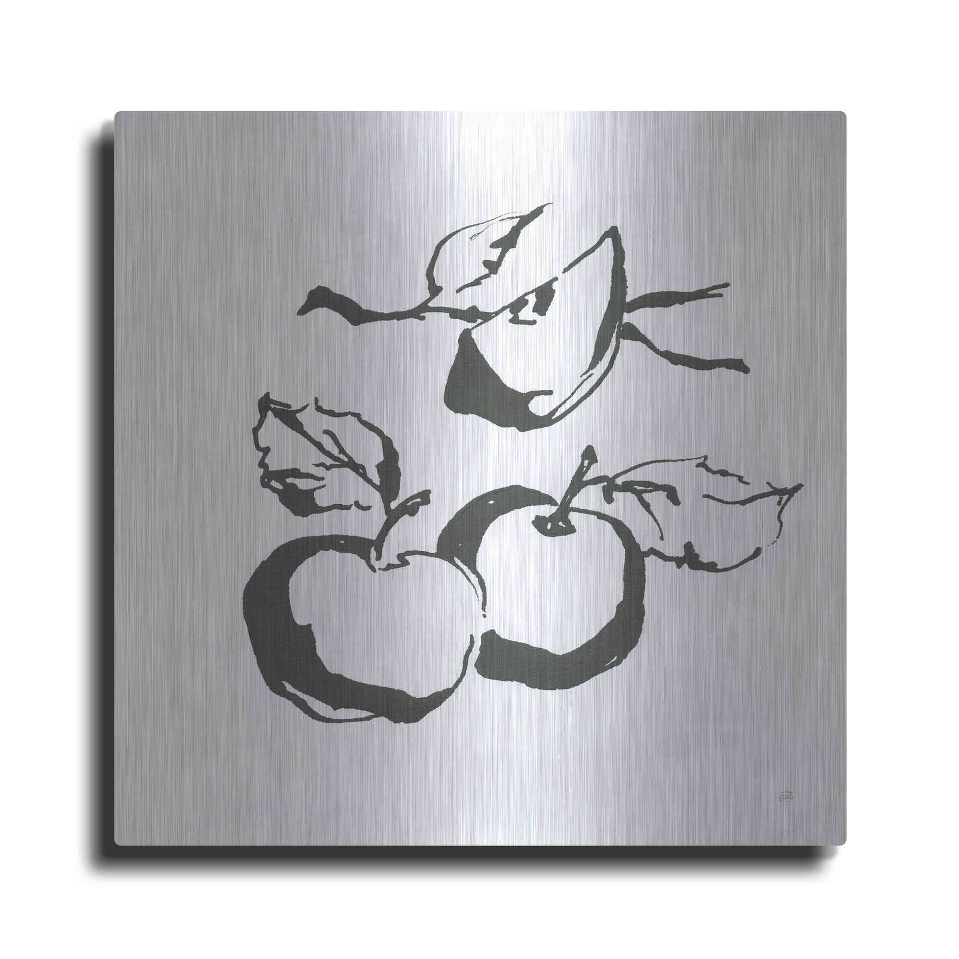 Luxe Metal Art 'Apples BW' by Chris Paschke, Metal Wall Art