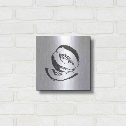 Luxe Metal Art 'Cantaloupe I BW' by Chris Paschke, Metal Wall Art,12x12