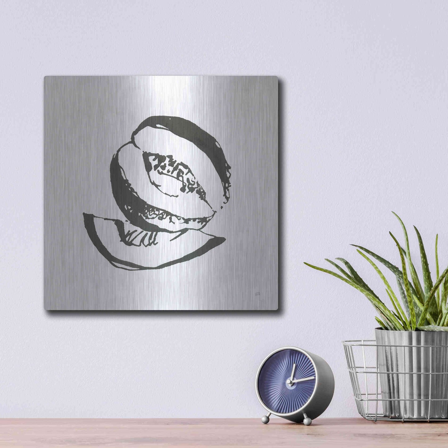 Luxe Metal Art 'Cantaloupe I BW' by Chris Paschke, Metal Wall Art,12x12