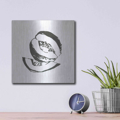 Luxe Metal Art 'Cantaloupe I BW' by Chris Paschke, Metal Wall Art,12x12