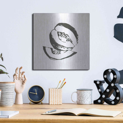 Luxe Metal Art 'Cantaloupe I BW' by Chris Paschke, Metal Wall Art,12x12